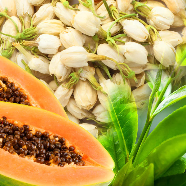 マイボトルセット