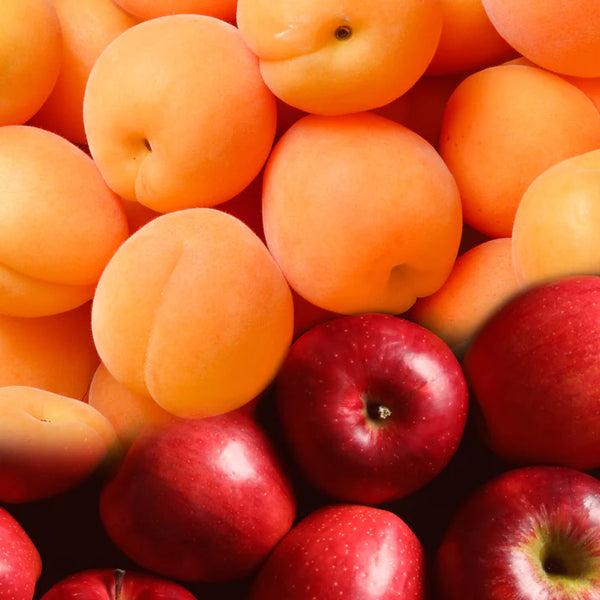 マイボトルセット