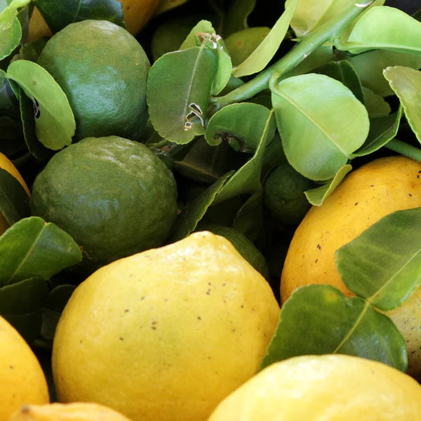 マイボトルセット