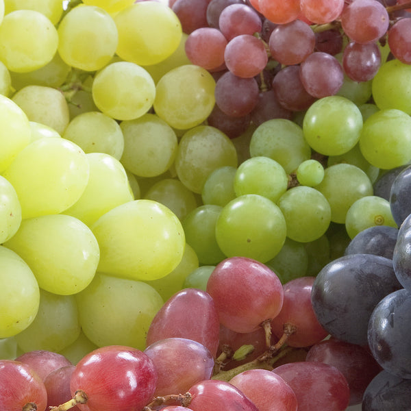 フレンチマスカット