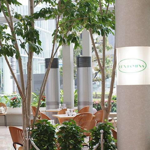 Tea Room　BENJAMINA