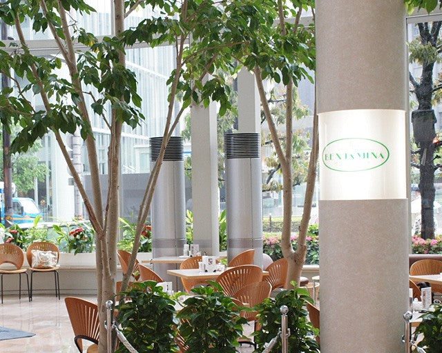 Tea Room　BENJAMINA