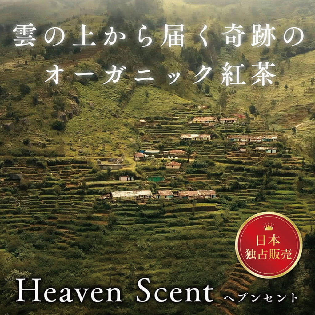 日本独占販売】オーガニック紅茶『ヘブンセント』を入荷しました！