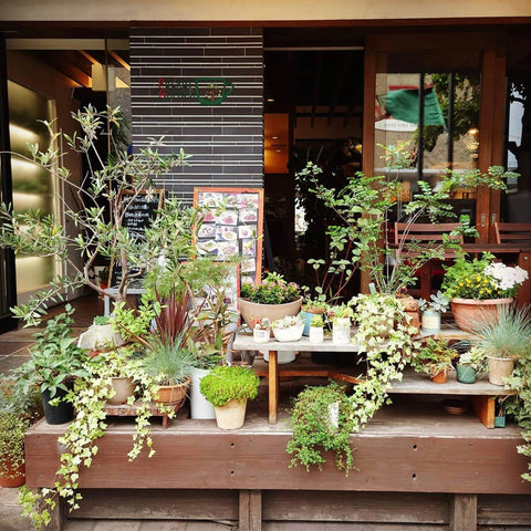Pocket Garden