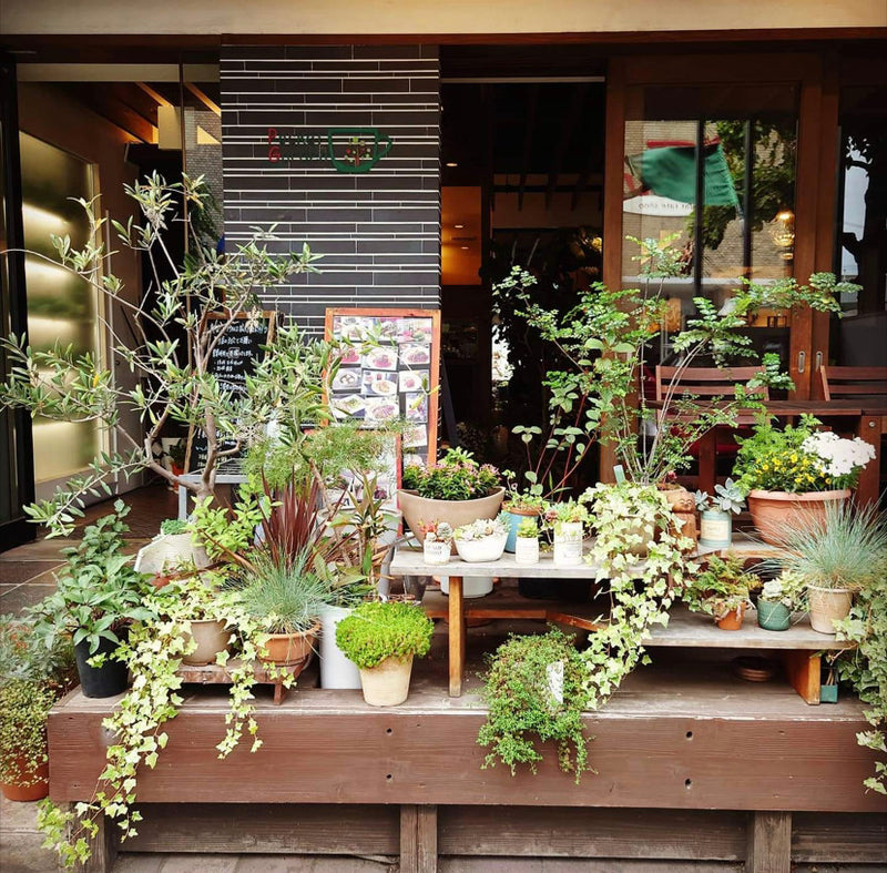 Pocket Garden