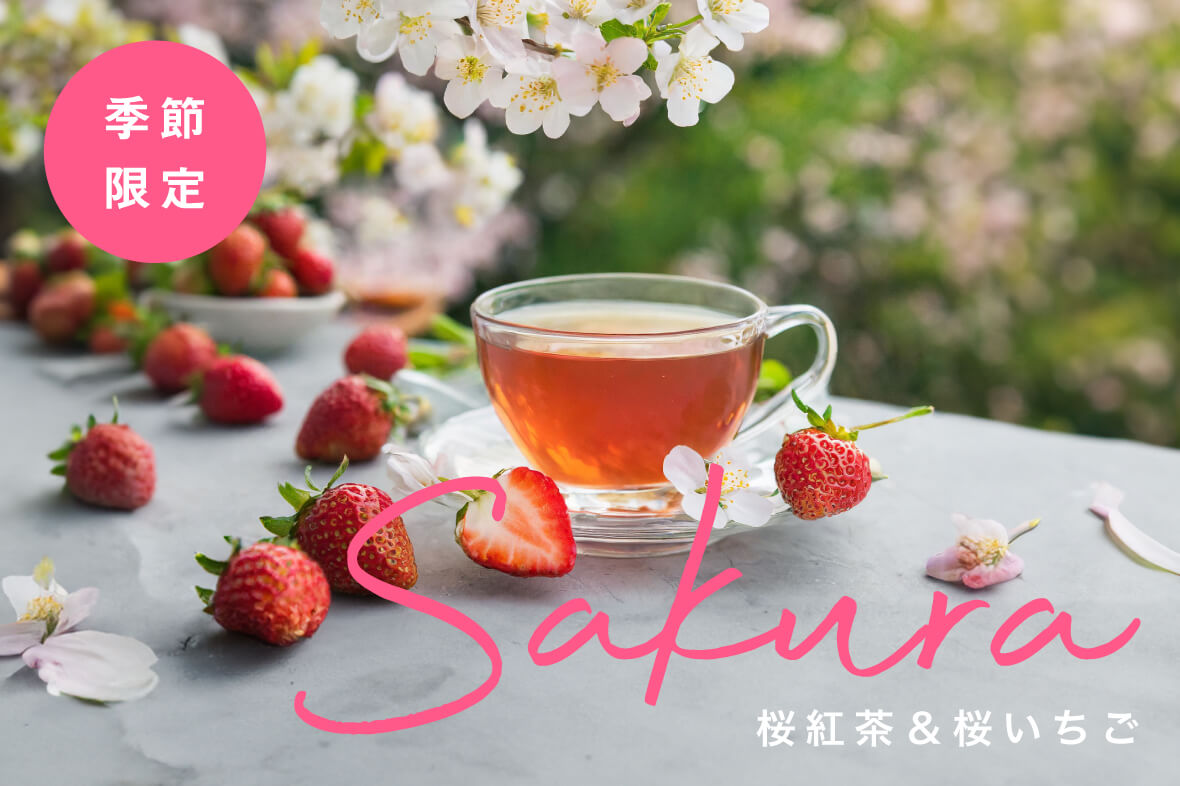 季節限定 桜シリーズ