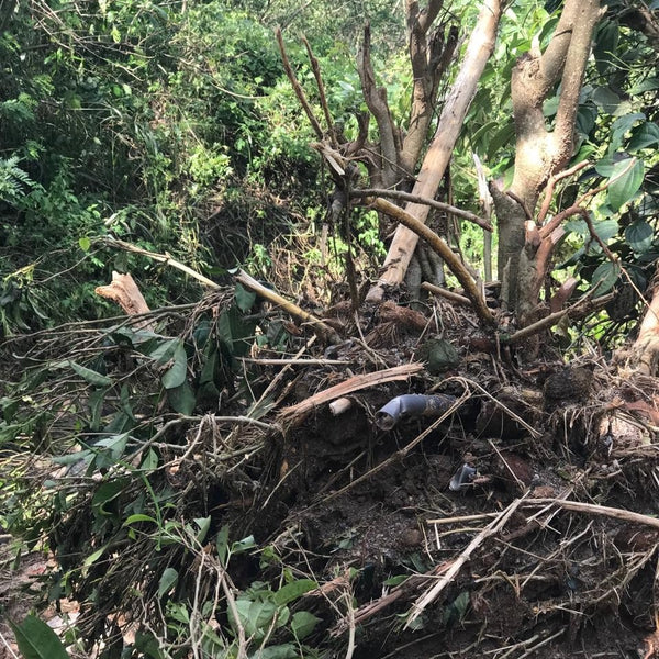 スリランカのサイクロン「Ditwah（ディトワ）」災害に対する支援