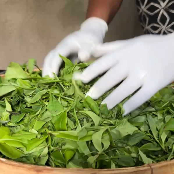 スリランカのサイクロン「Ditwah（ディトワ）」災害に対する支援