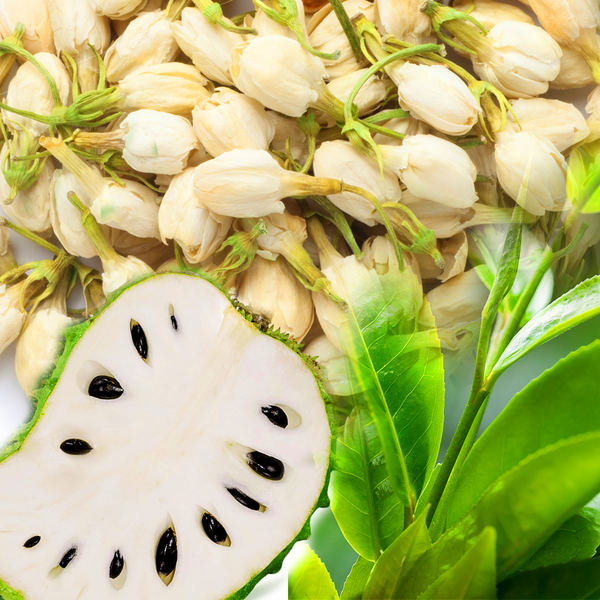 エンジェルジャスミン