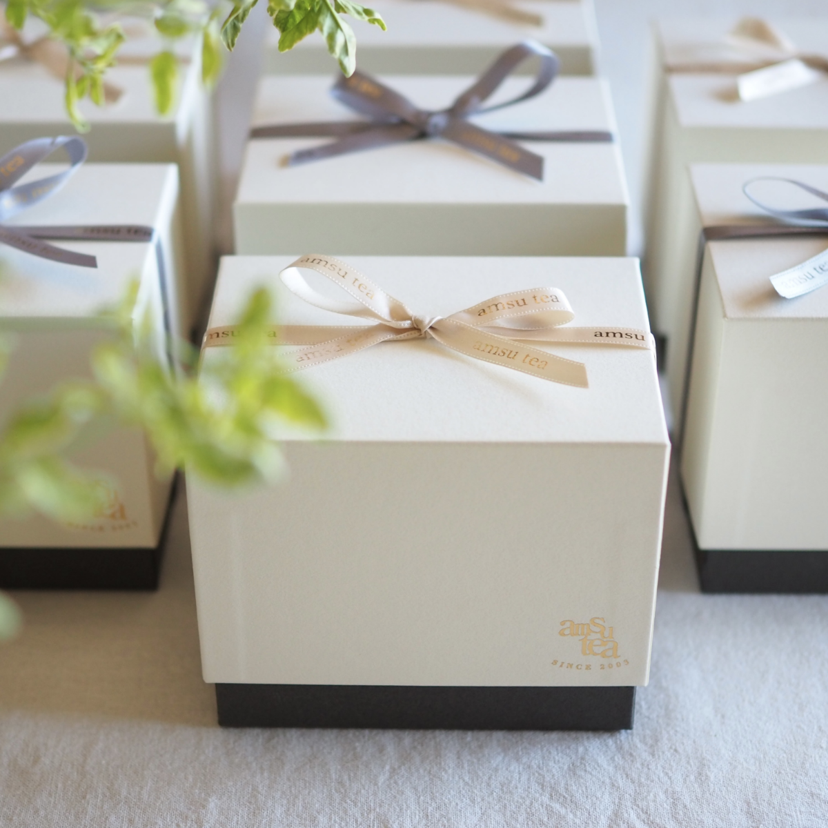 【aym専用】amuse アインフェイバリットクラシック