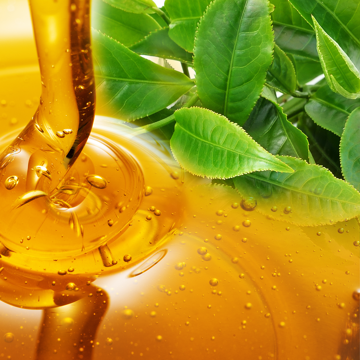 ベルガモットハニー