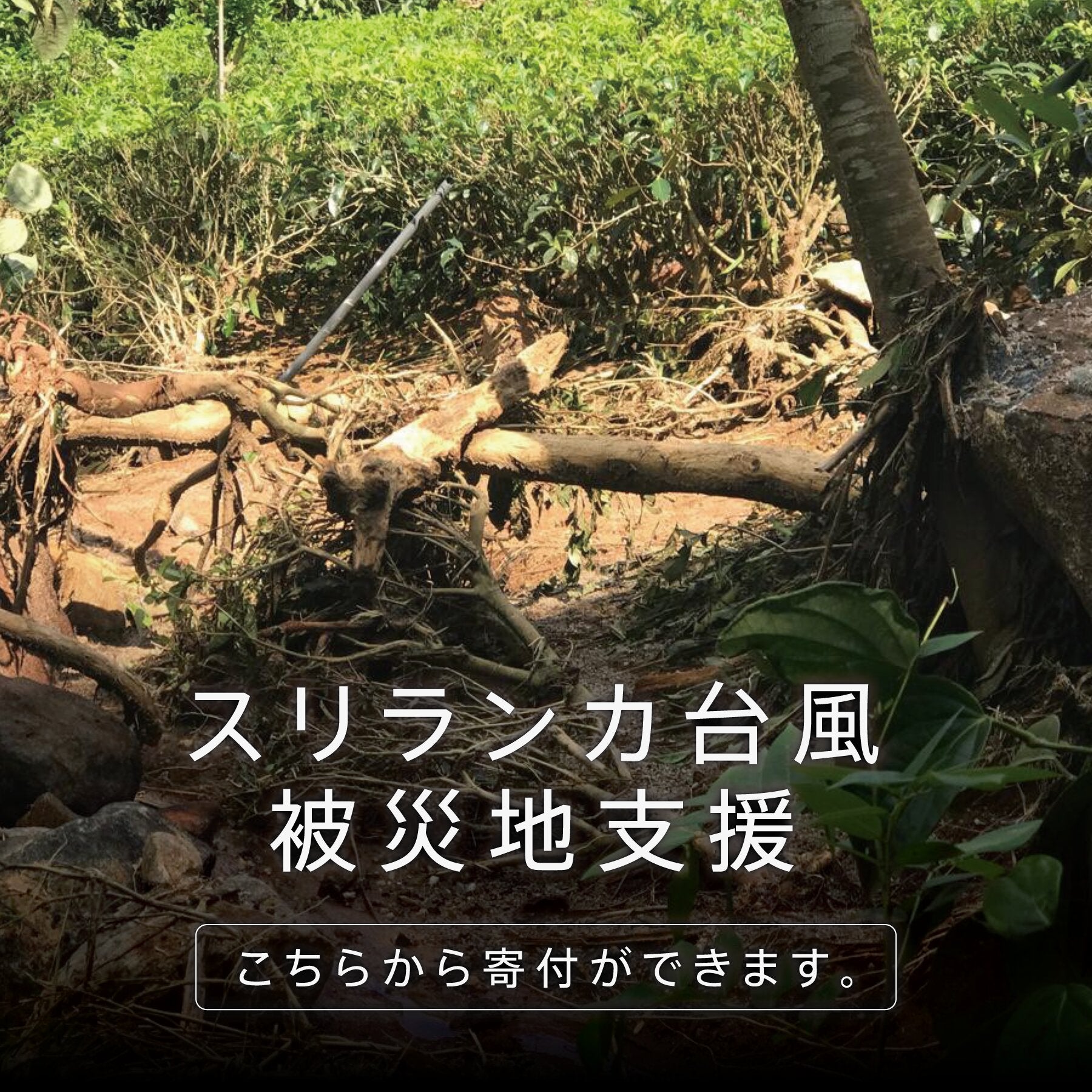 スリランカ台風支援