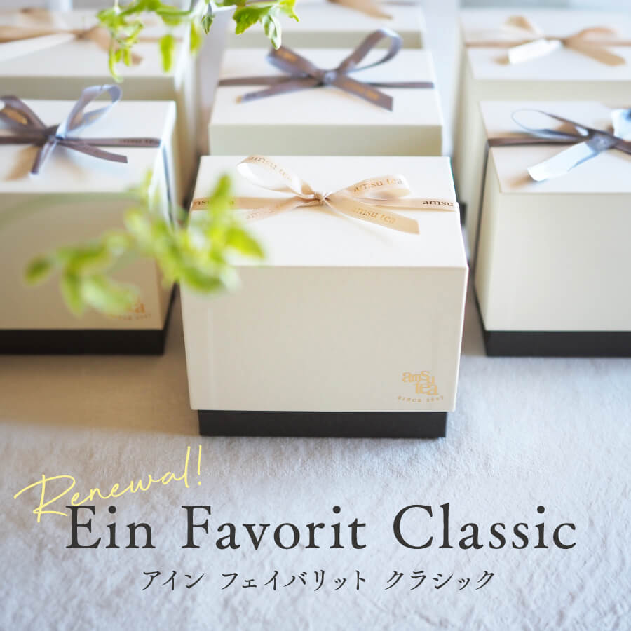 リニューアル アインフェイバリットクラシック