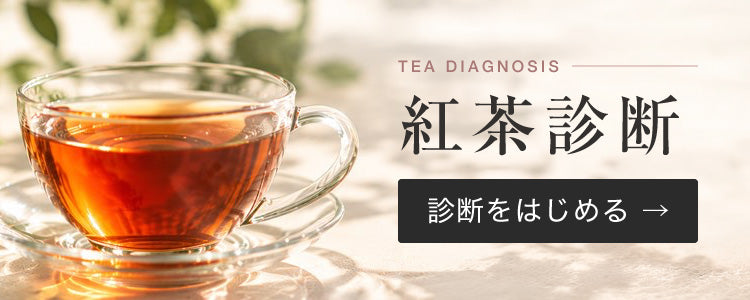 紅茶診断 診断をはじめる