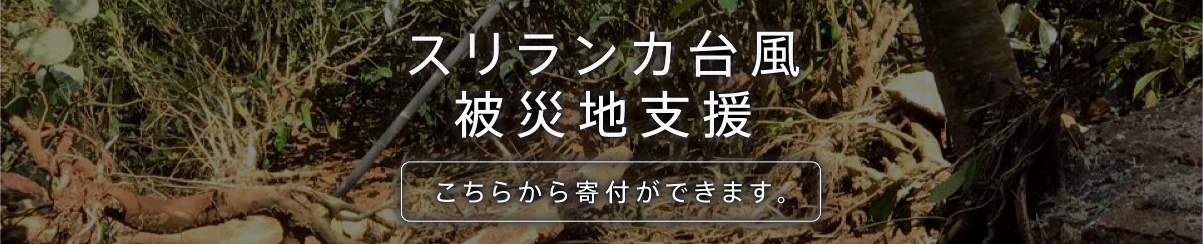 スリランカ台風支援